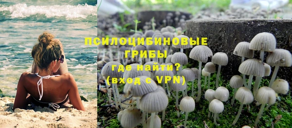 каннабис Абаза