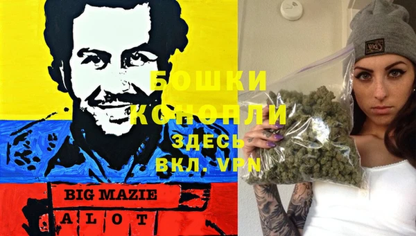 гидра Алексеевка