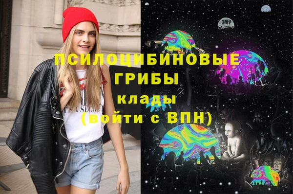 мяу мяу мука Абинск
