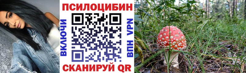 Галлюциногенные грибы прущие грибы  Алексин 