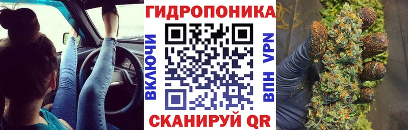 Конопля OG Kush  Алексин 